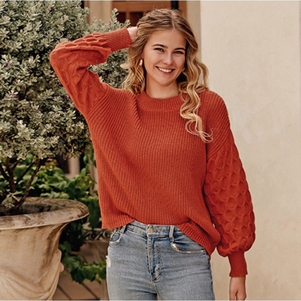 NWT Cozy Rust Sweater